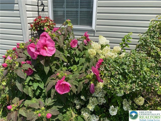 1350 Caspian Street, South Whitehall Twp, PA 18104