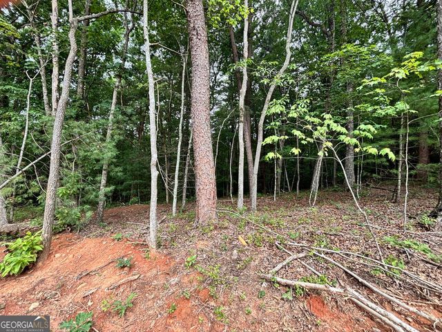 320 East Ridge Ln, Ellijay, GA 30536