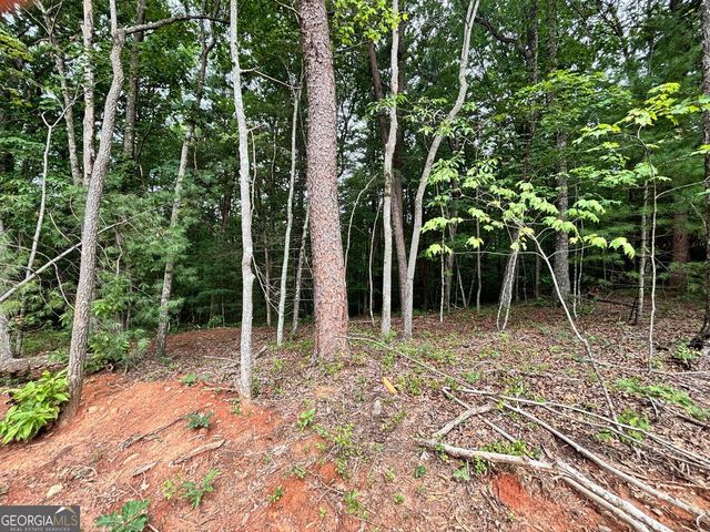 320 East Ridge Lane, Ellijay, GA 30536