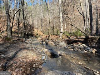 1769 Longbranch Drive, Ranger, GA 30734