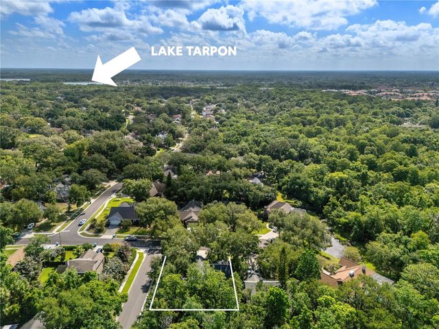 344 CASCADE LANE, Palm Harbor, FL 34684