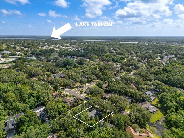 344 CASCADE LANE, Palm Harbor, FL 34684