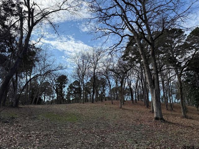 3268 Shadow Pine Dr Lot 61, Larue, TX 75770