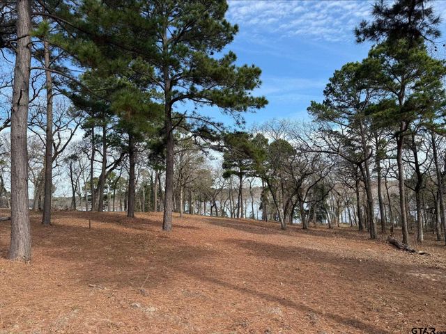 3268 Shadow Pine Dr Lot 61, Larue, TX 75770
