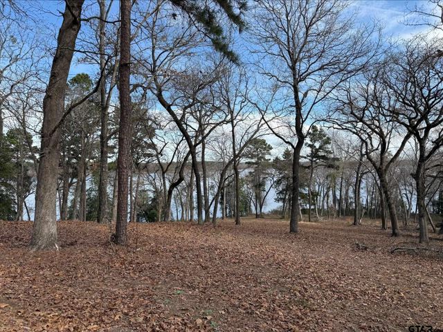 3268 Shadow Pine Dr Lot 61, Larue, TX 75770