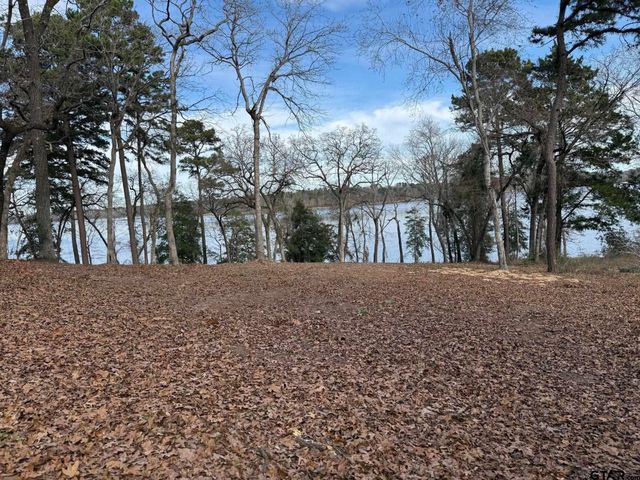 3268 Shadow Pine Dr Lot 61, Larue, TX 75770