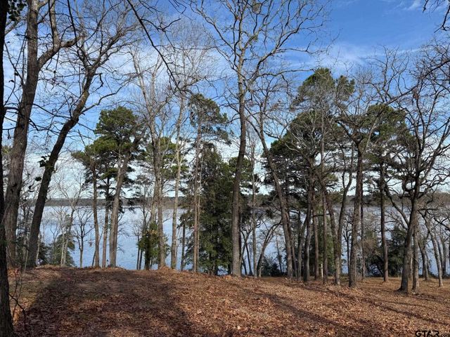 3268 Shadow Pine Dr Lot 61, Larue, TX 75770