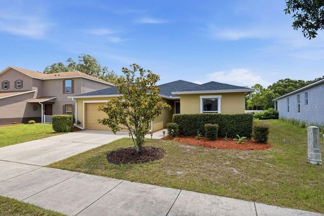11018 RUNNING PINE DRIVE, Riverview, FL 33569