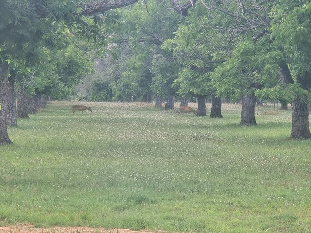 8317 W Landings Road, Granbury, TX 76049