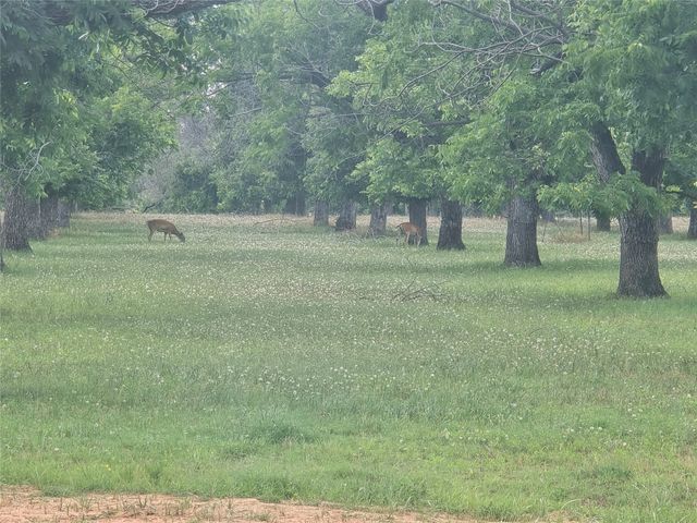 8317 W Landings Road, Granbury, TX 76049