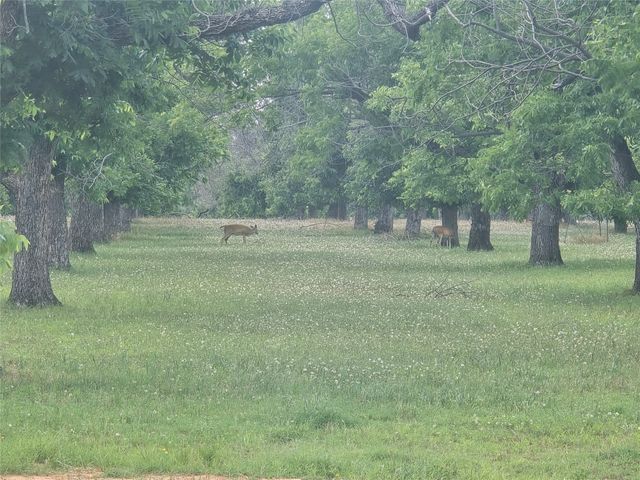 8317 W Landings Road, Granbury, TX 76049