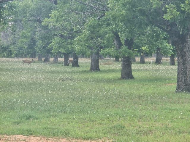 8317 W Landings Road, Granbury, TX 76049