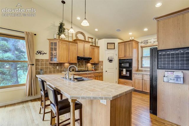 5545 Scout Ridge Trail, Cascade, CO 80809