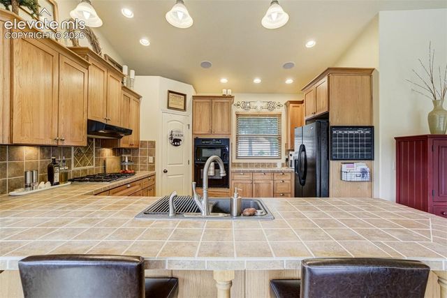 5545 Scout Ridge Trail, Cascade, CO 80809