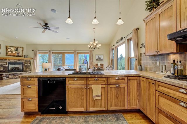 5545 Scout Ridge Trail, Cascade, CO 80809