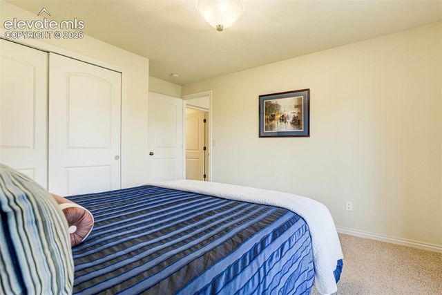 5545 Scout Ridge Trail, Cascade, CO 80809