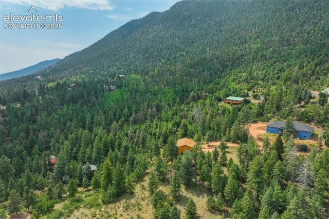 5545 Scout Ridge Trail, Cascade, CO 80809