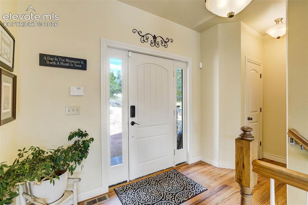 5545 Scout Ridge Trail, Cascade, CO 80809 — photo 4
