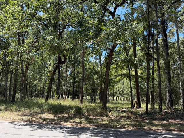 TBD Doral Drive, Huntsville, TX 77320