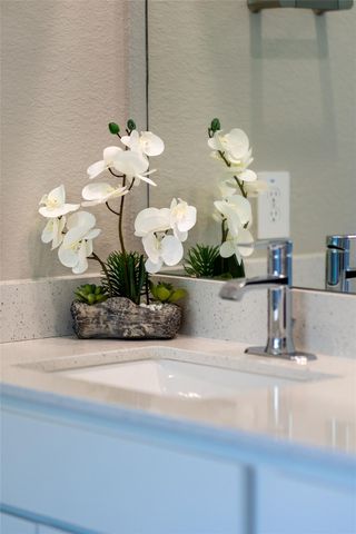 10332 Rainbow Cove Lane, Conroe, TX 77384