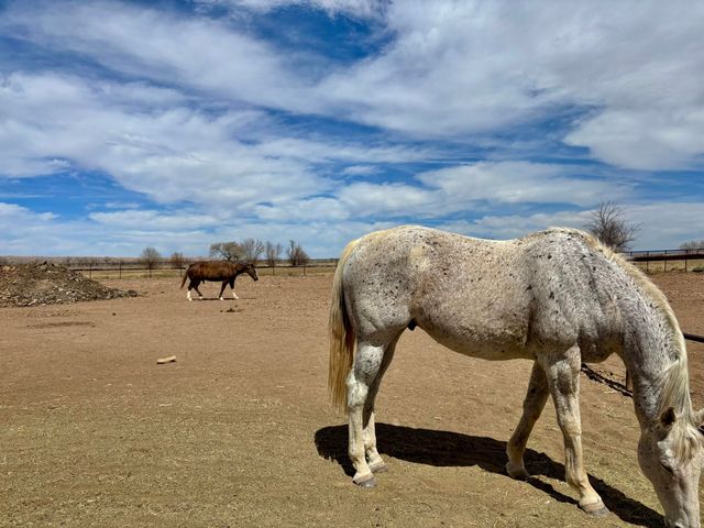 87 Camino Ulibarri, Veguita, NM 87062
