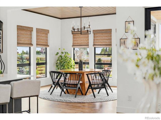 1907 Spring Bloom Drive, Windsor, CO 80550