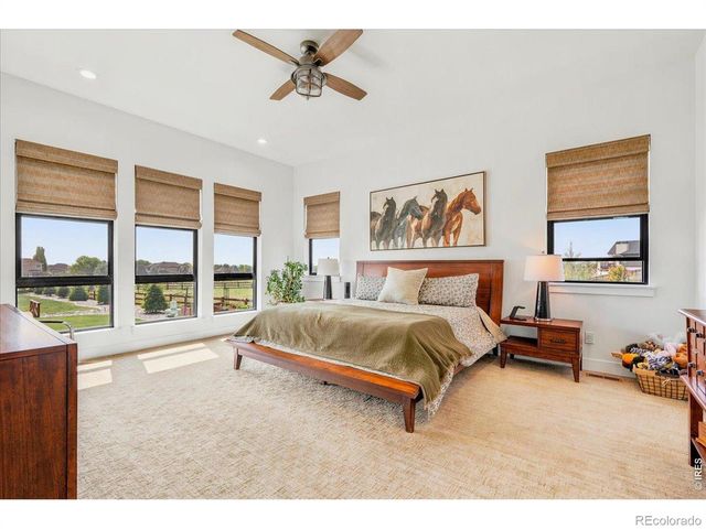 1907 Spring Bloom Drive, Windsor, CO 80550