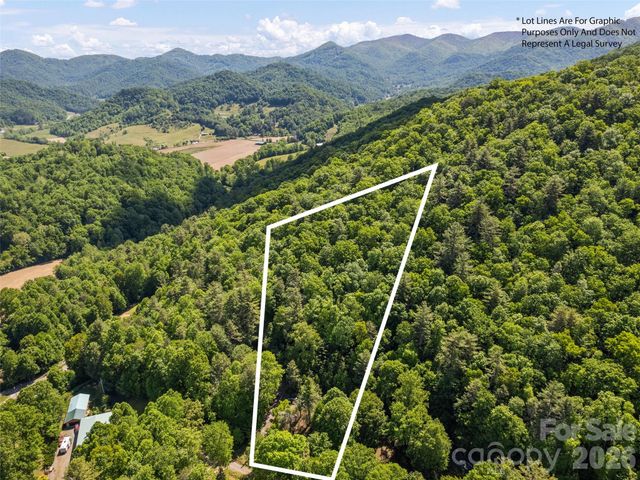 102 Serenity Lane, Clyde, NC 28721