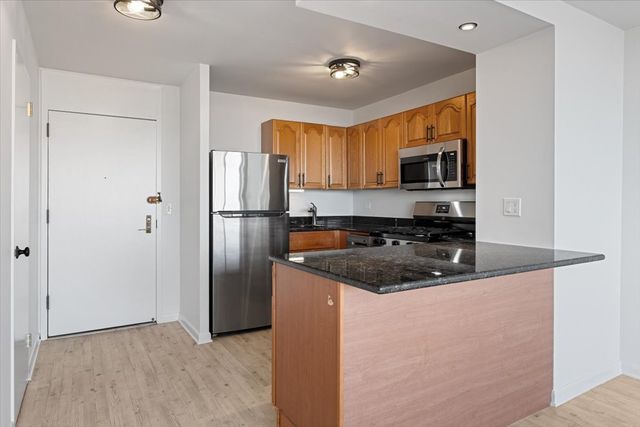 2800 N Lake Shore Drive 3113, Chicago, IL 60657