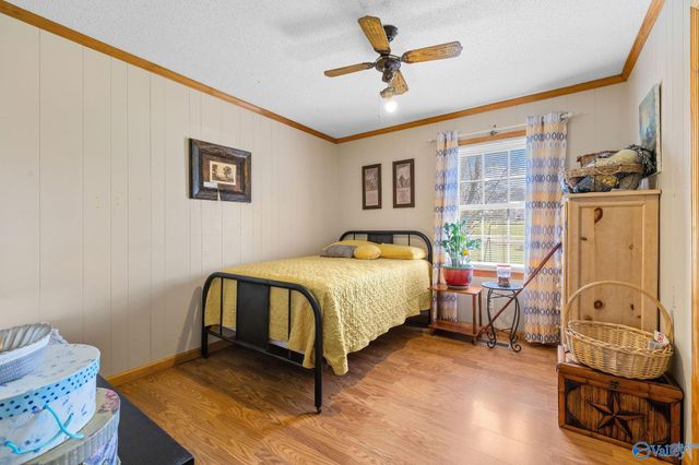 102 Greenwood Lane, Geraldine, AL 35974