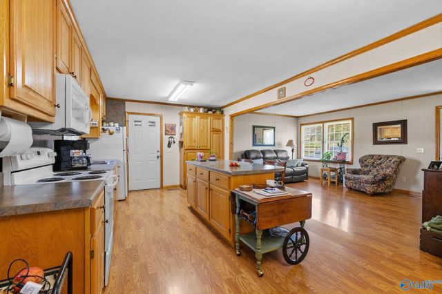 102 Greenwood Lane, Geraldine, AL 35974