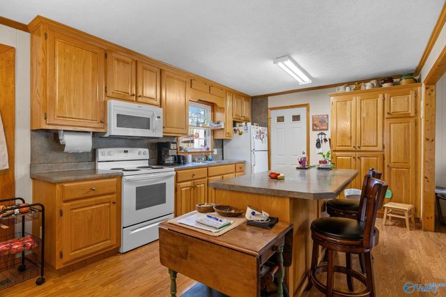 102 Greenwood Lane, Geraldine, AL 35974