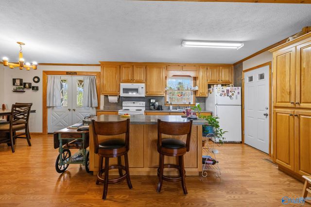 102 Greenwood Lane, Geraldine, AL 35974