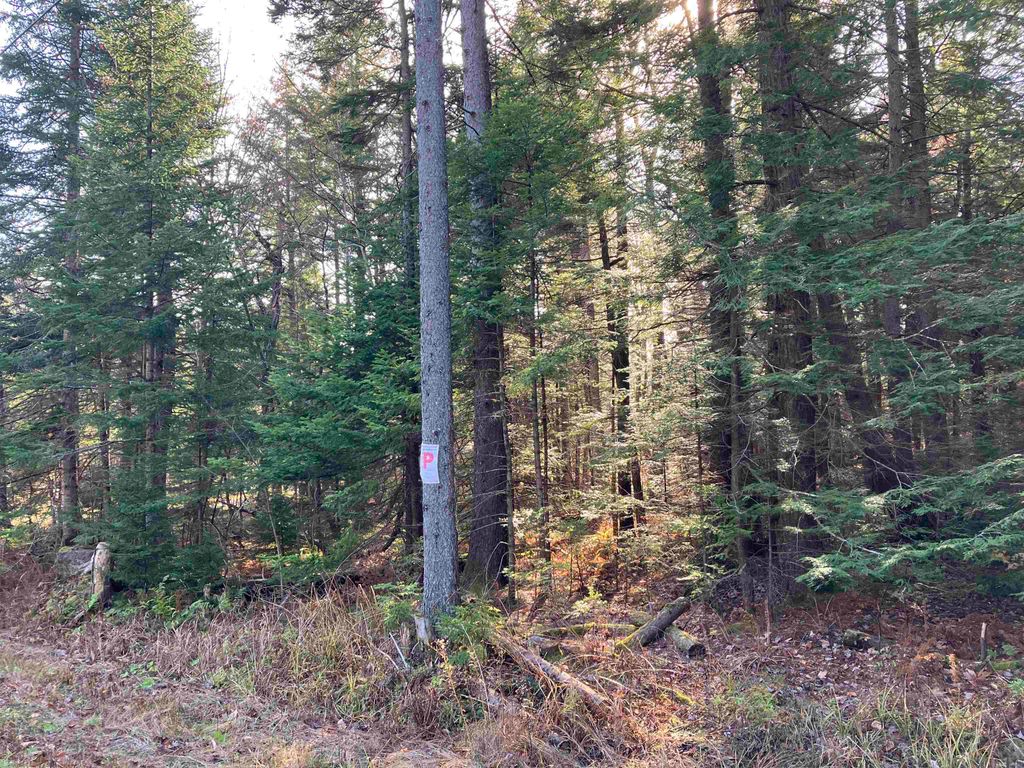 95 Chimney Hill Rd # M95, Wilmington, VT 05363