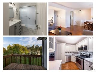 1724 Redbird Cove, St Louis, MO 63144