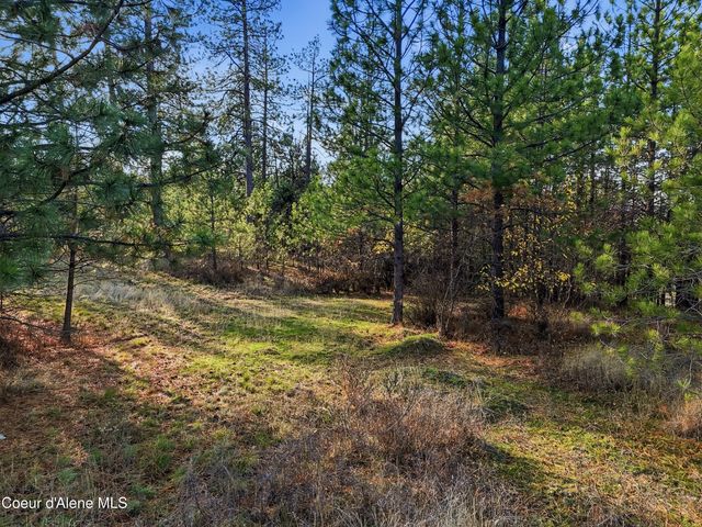 NNA W TREEND RD, Post Falls, ID 83854
