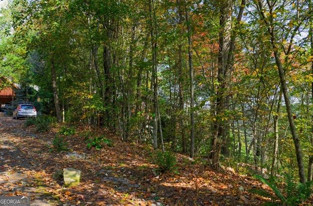 LOT 81 Lillie Drive, Ellijay, GA 30540