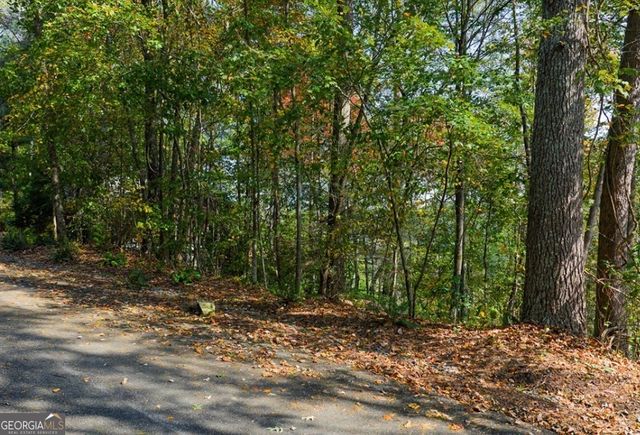 LOT 81 Lillie Drive, Ellijay, GA 30540