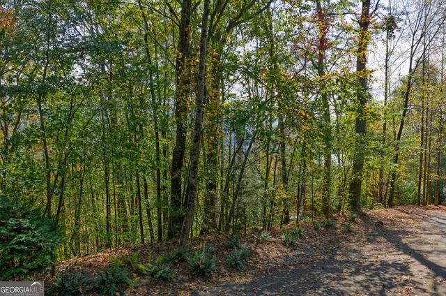LOT 81 Lillie Drive, Ellijay, GA 30540