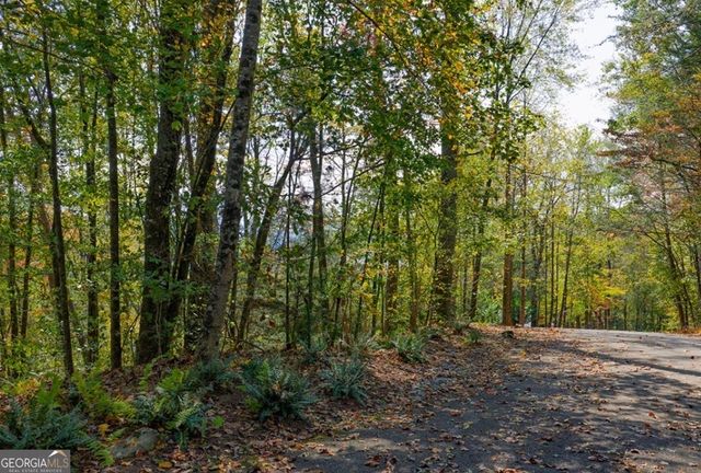 LOT 81 Lillie Drive, Ellijay, GA 30540