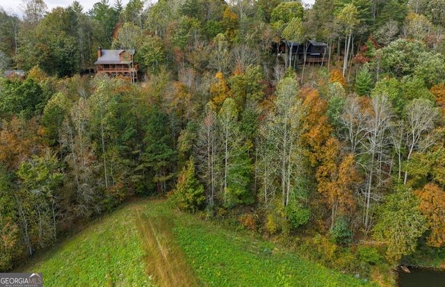 LOT 81 Lillie Drive, Ellijay, GA 30540