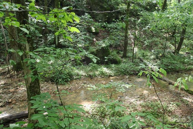7847 S Old State Road 37, Bloomington, IN 47403