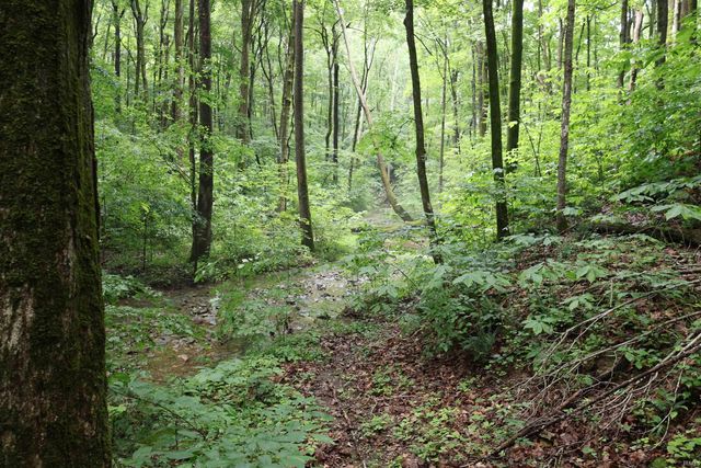 7847 S Old State Road 37, Bloomington, IN 47403