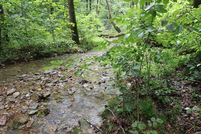 7847 S Old State Road 37, Bloomington, IN 47403