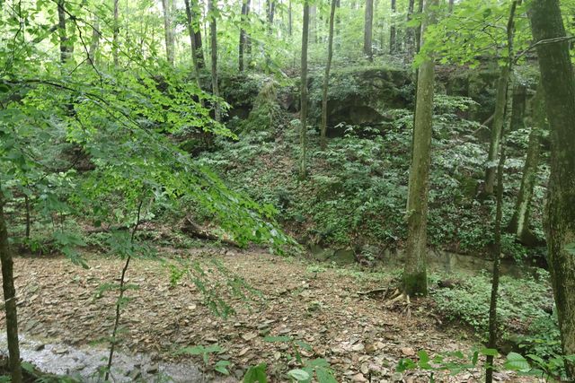7847 S Old State Road 37, Bloomington, IN 47403