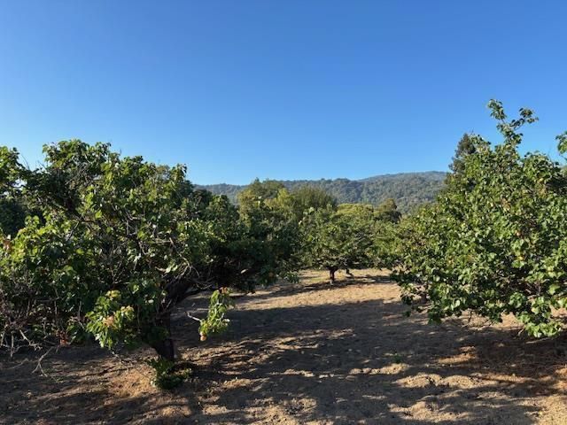 25900 Vinedo, Los Altos Hills, CA 94022