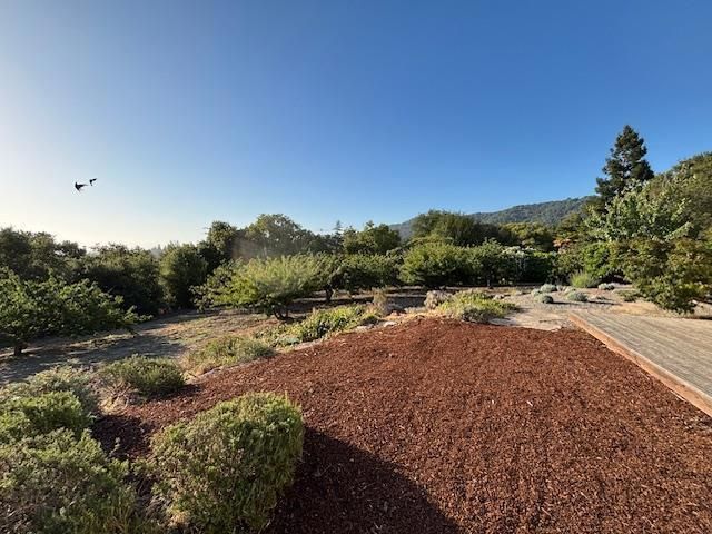 25900 Vinedo, Los Altos Hills, CA 94022