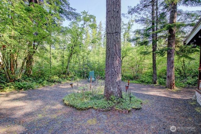 90 Christmas Tree Circle, Deming, WA 98244