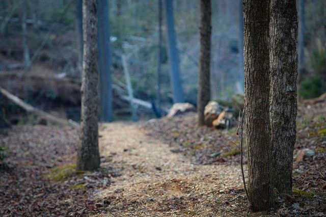 164 Water Dance Trail, Blue Ridge, GA 30513