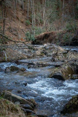 164 Water Dance Trail, Blue Ridge, GA 30513